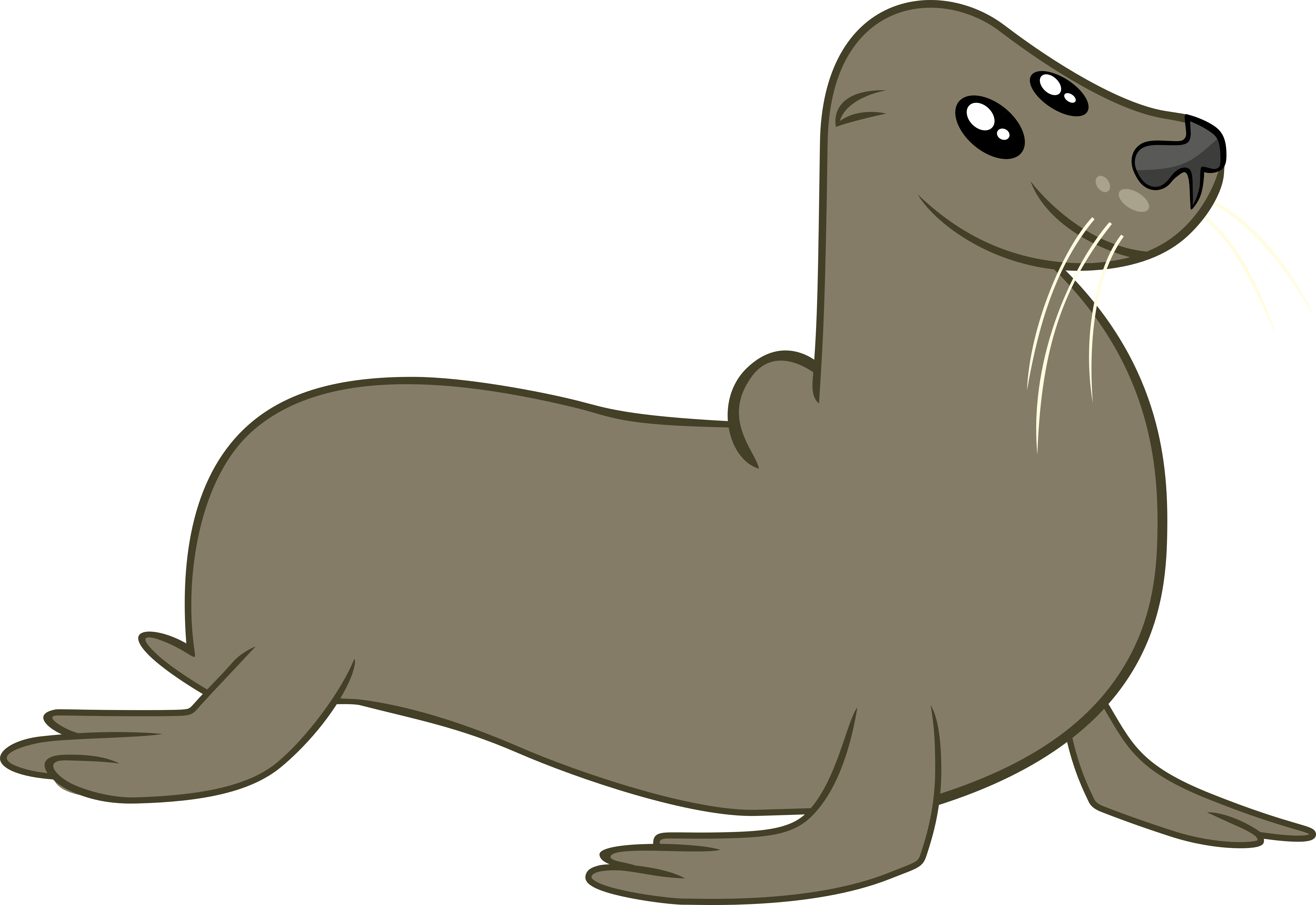 Cartoon Elephant Seal - Cartoon Elephant Seal (9001x6190)
