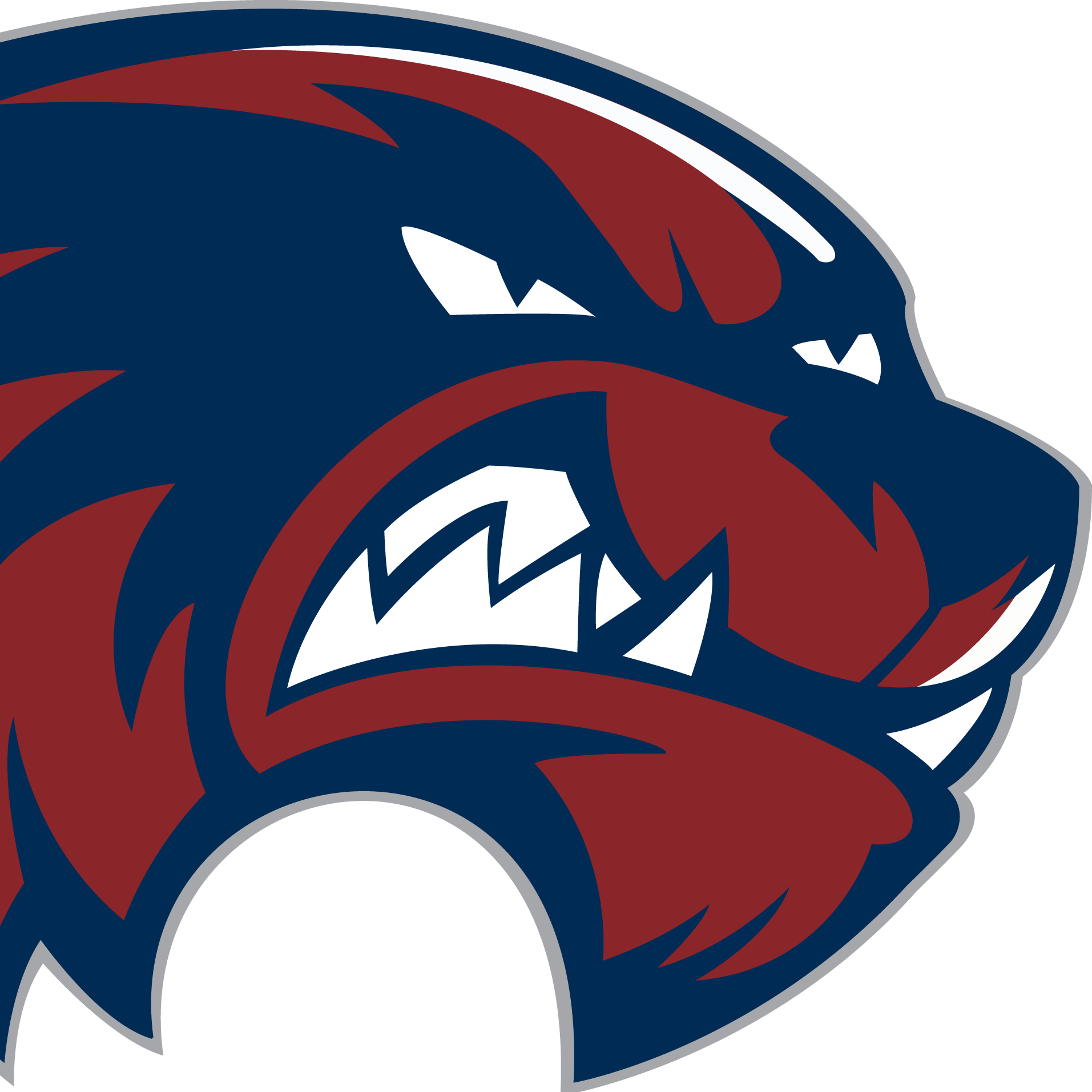 Woodstock Wrestling - Woodstock High School Mascot (1913x1913)