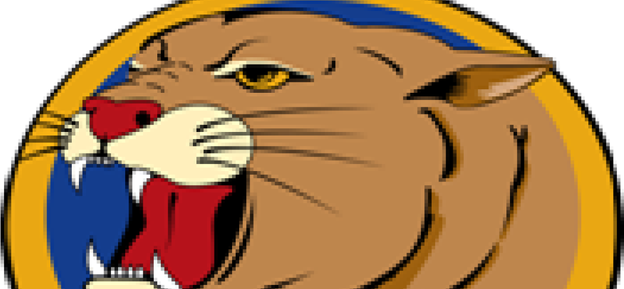 Warriors Come Out And Playay - Evergreen High School (1242x576)