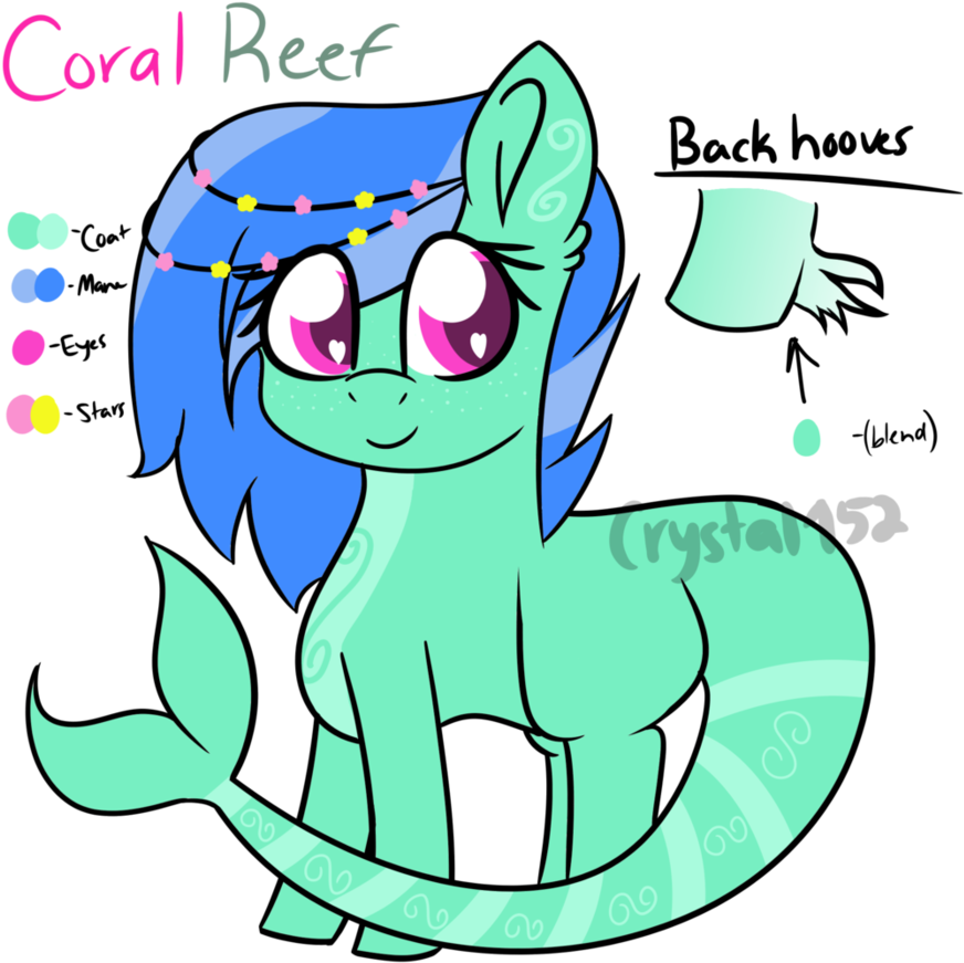 Coral Reef Reference Sheet By Crystalclear152 - Cartoon (894x894)