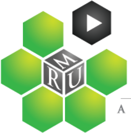 George Mason University Has Always Prided Itself On - Cyber Loss (500x500)