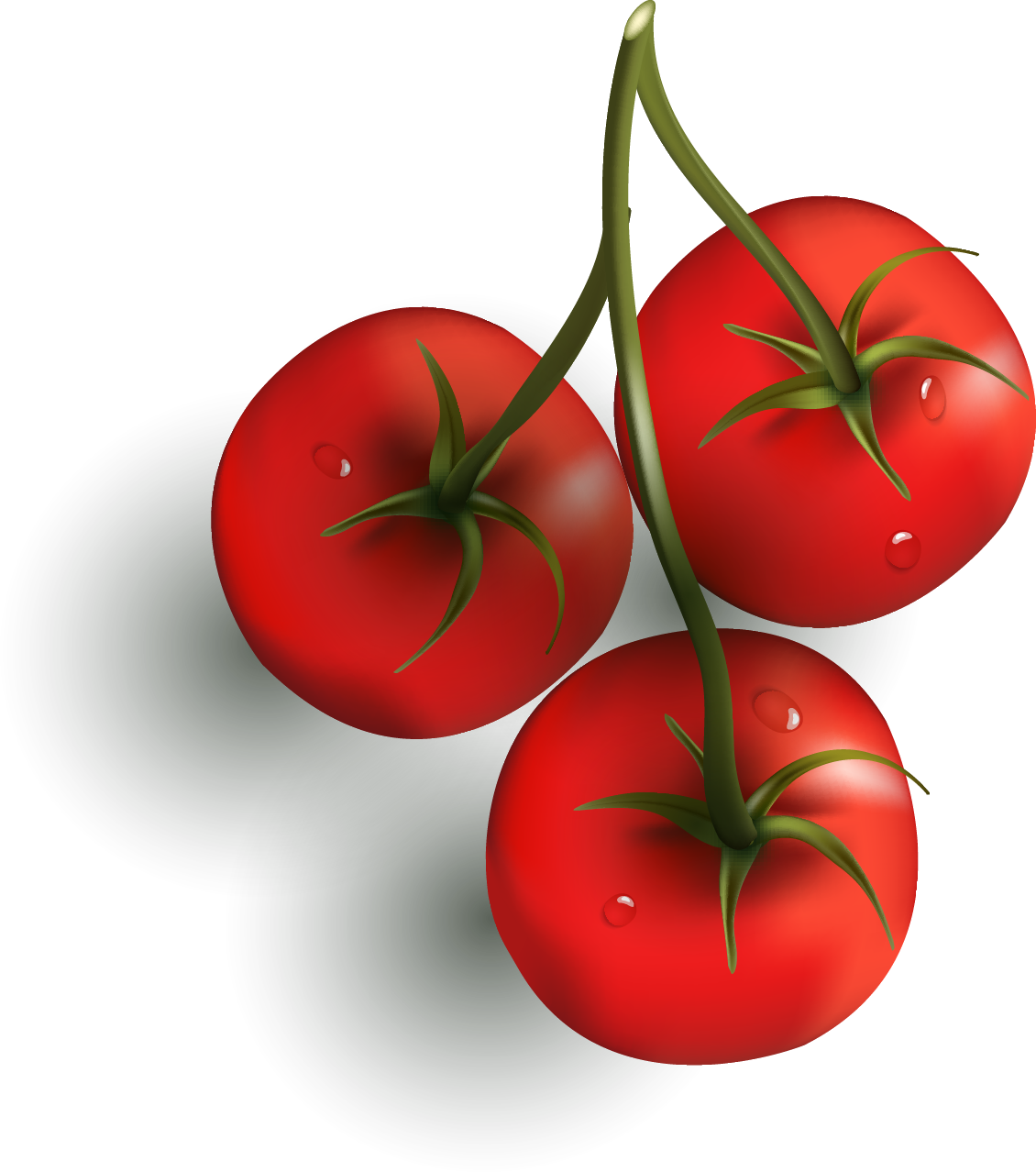 Cherry Tomato Vegetable Capsicum Chili Con Carne Clip - Cherry Tomato Vegetable Capsicum Chili Con Carne Clip (1130x1278)