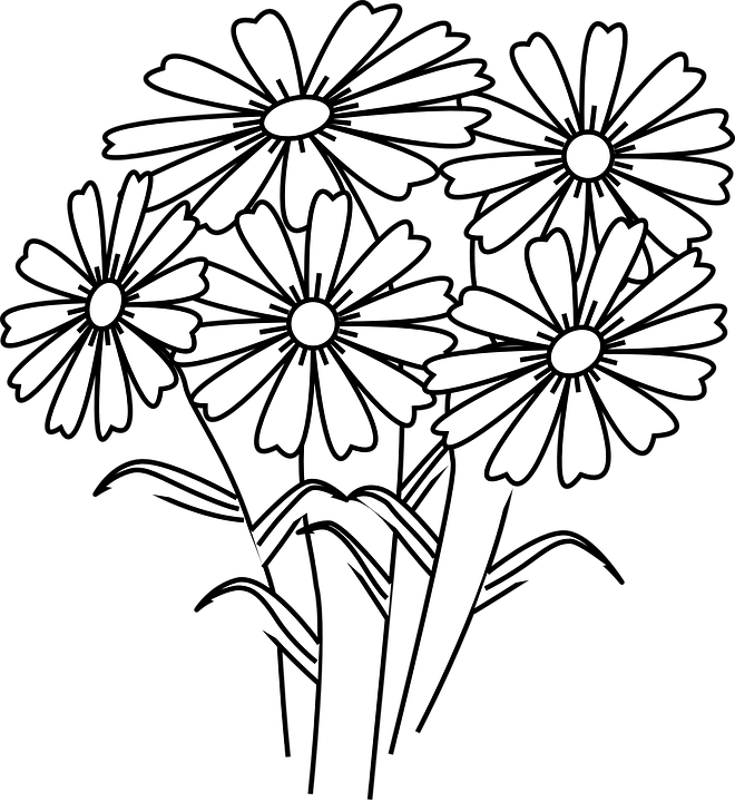 Flowers Line Cliparts 20, Buy Clip Art - Coloring Book Flowers (660x720)