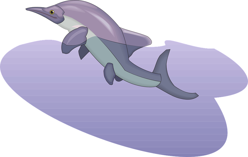 Dolphin Cartoon Image 11, Buy Clip Art - ปลา ว่า ย น้ำ Png (960x611)