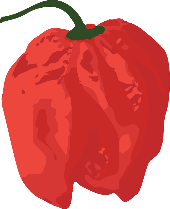 Red Bell Pepper (575x708)