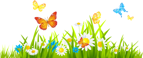 Grass Ground With Flowers And Butterflies Png - Flower Garden Clipart (600x258)