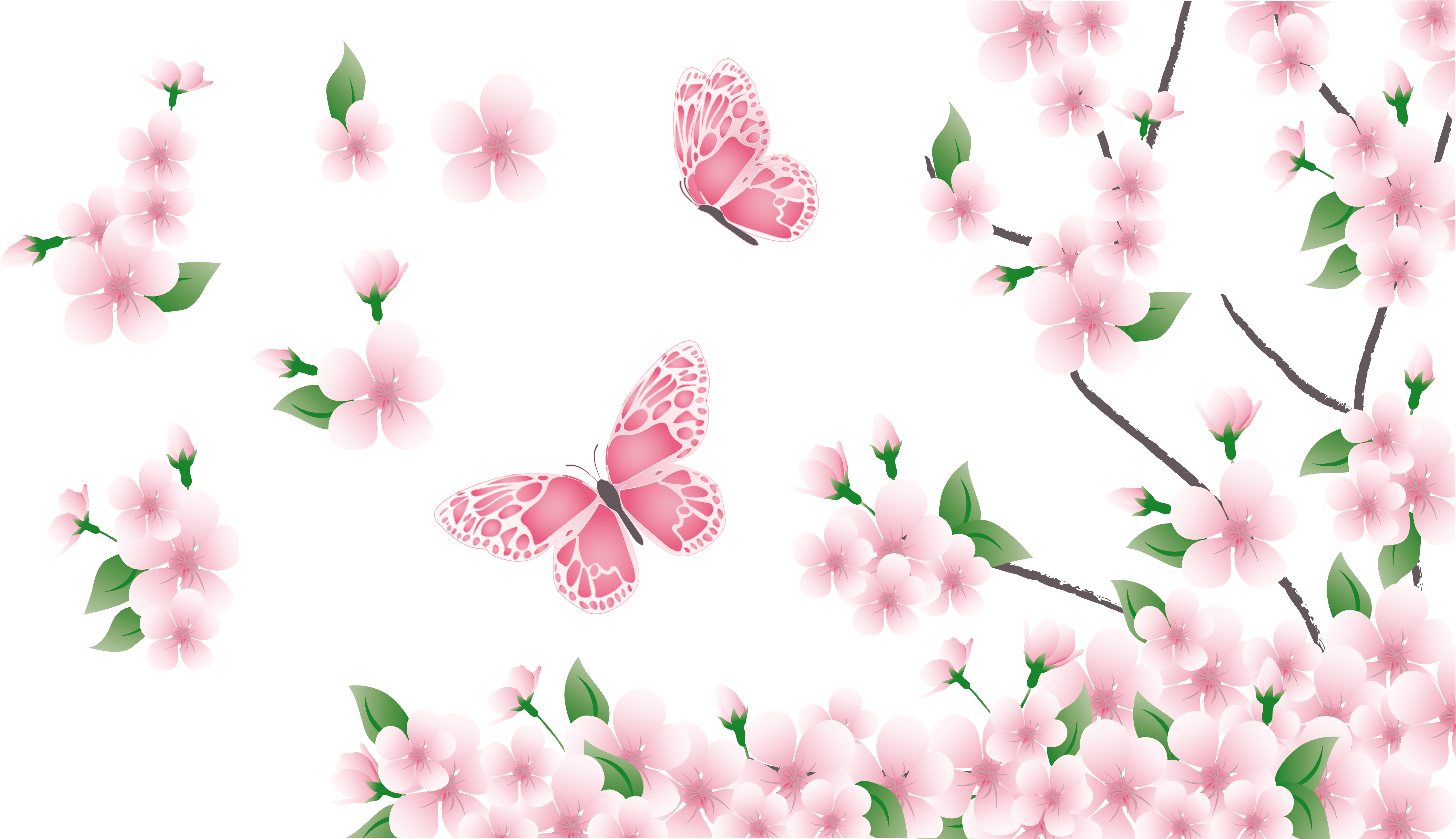 Spring Branch With Pink Flowers And Butterflies Png - Flowers And Butterflies Png (5747x3273)
