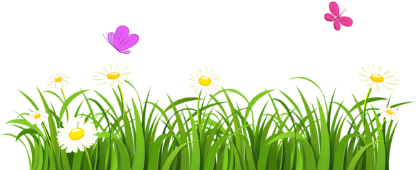 Butterfly Grass Clipart - Message To A Teacher (600x258)
