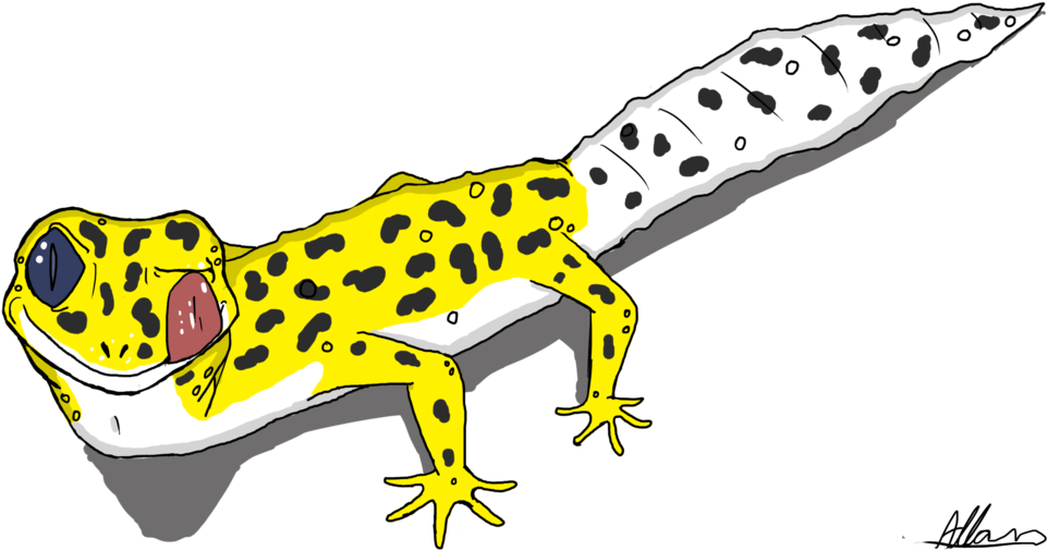 Leopard Gecko Cartoon - Transparent Cartoon Leopard Gecko (1024x572)