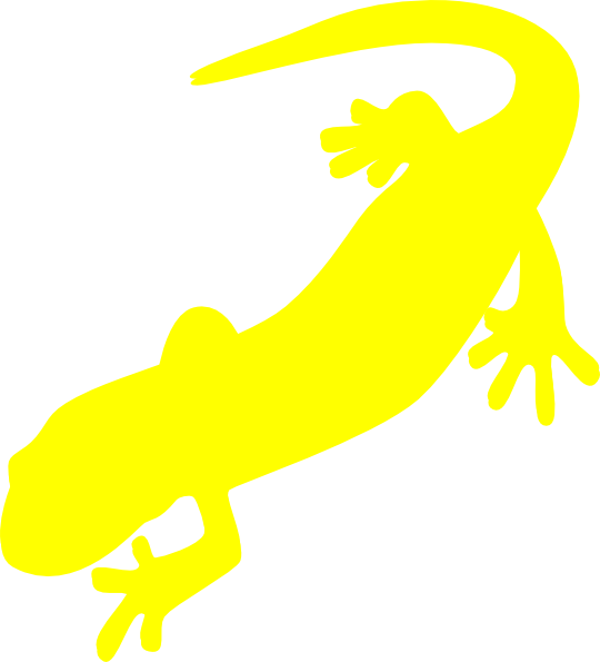 Salamander Animated (540x595)