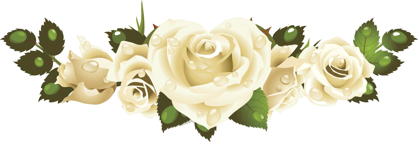 Png形式でダウンロード - Beach Rose (1600x547)