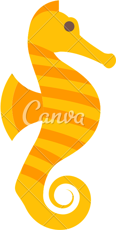 Seahorse - Seahorse (800x800)