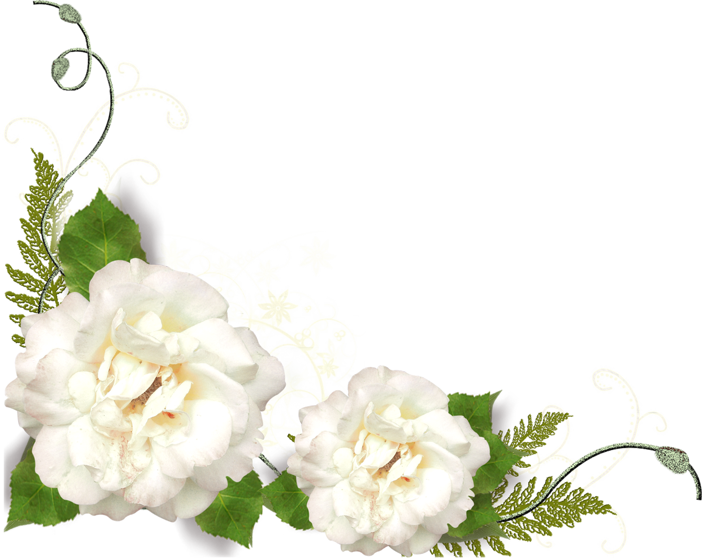 Png形式でダウンロード - White Roses Corner Png (1400x1113)