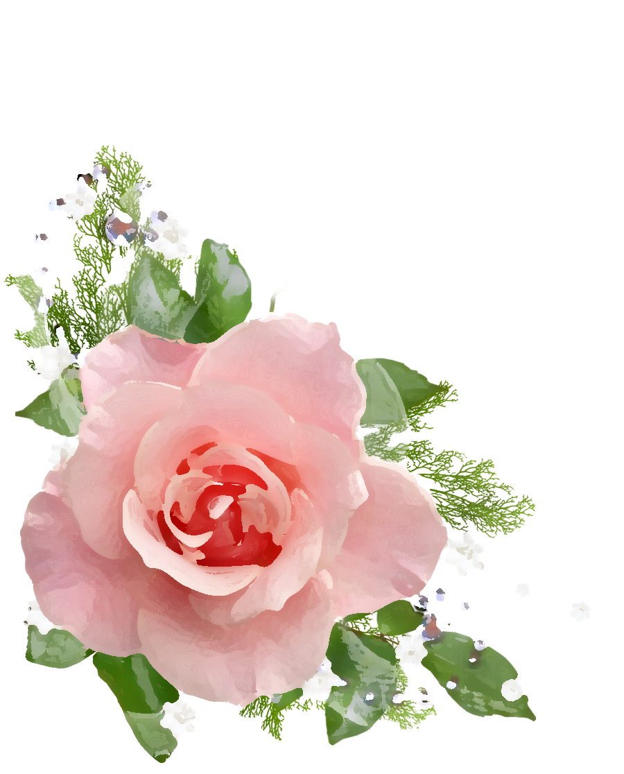 Png形式でダウンロード - Transparent Png Clipart Pink Roses Png (900x1116)