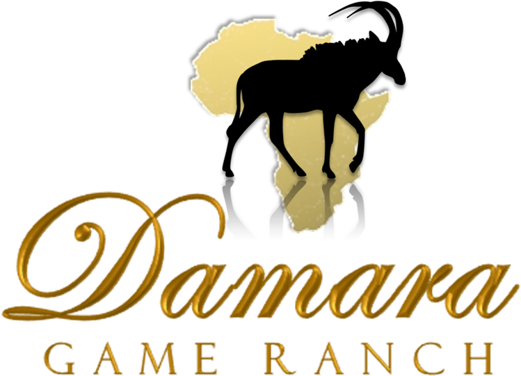 Damara Game Ranch - Damara Game Ranch (782x551)