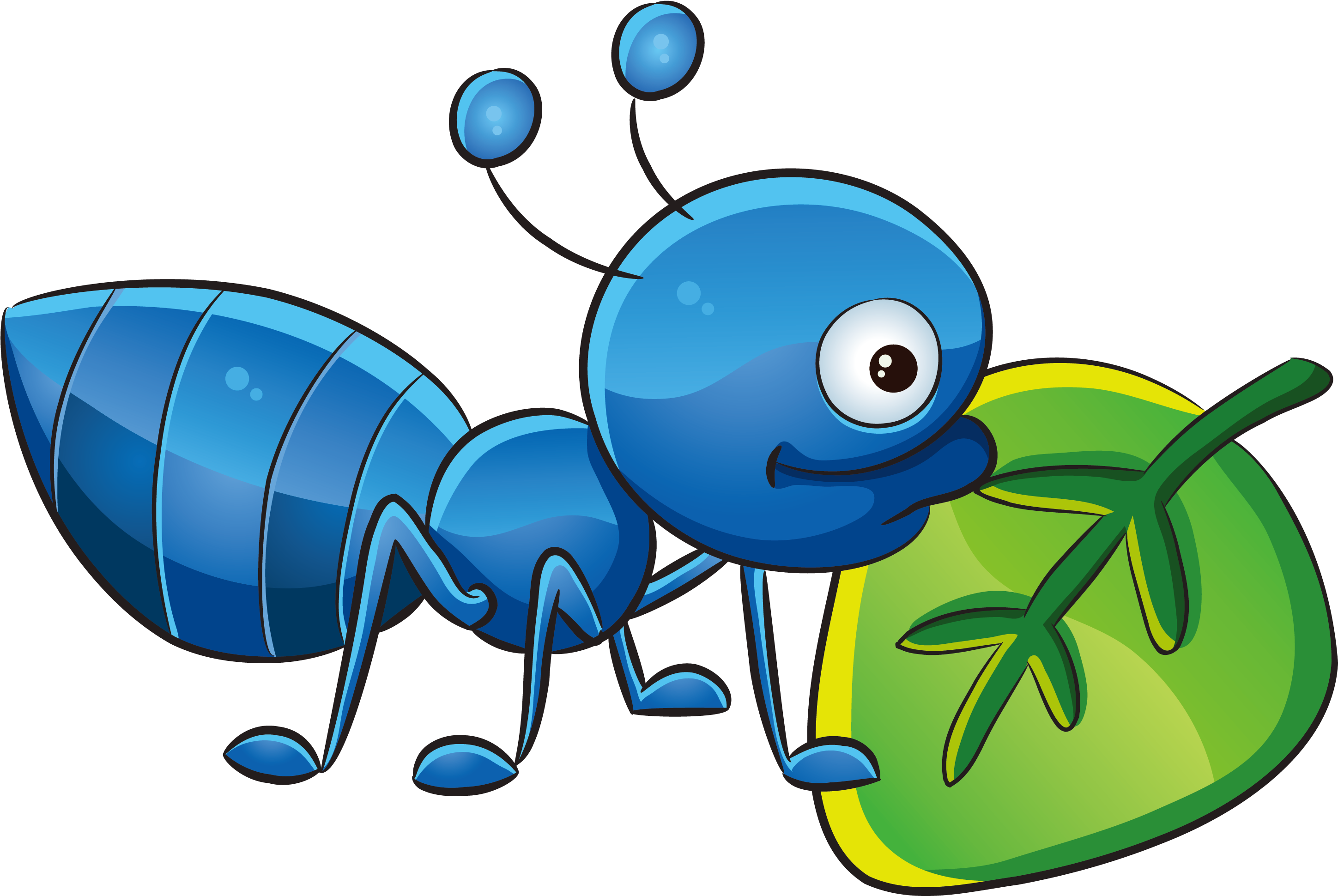 Mumbai T-shirt Childrens Clothing Boy - Mumbai T-shirt Childrens Clothing Boy (3733x2375)