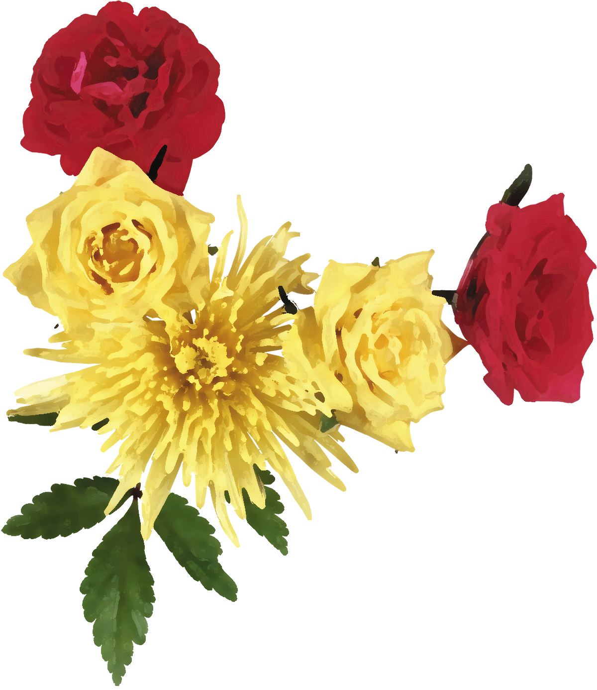 Png形式でダウンロード - Chrysanthemum (1200x1386)