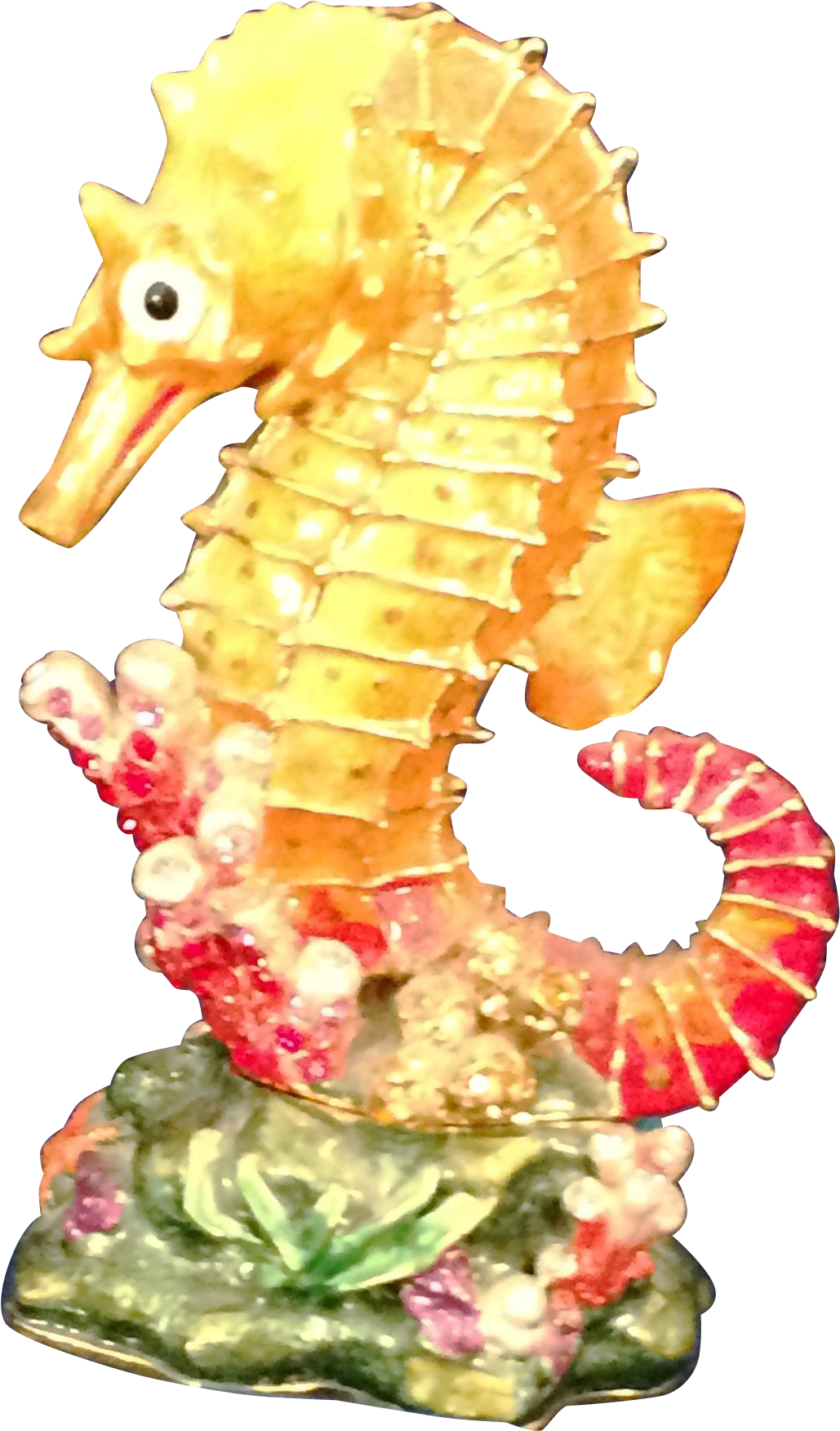 Rucinni Orange Seahorse Trinket Box Accented With Swarovski - Northern Seahorse (1751x1751)