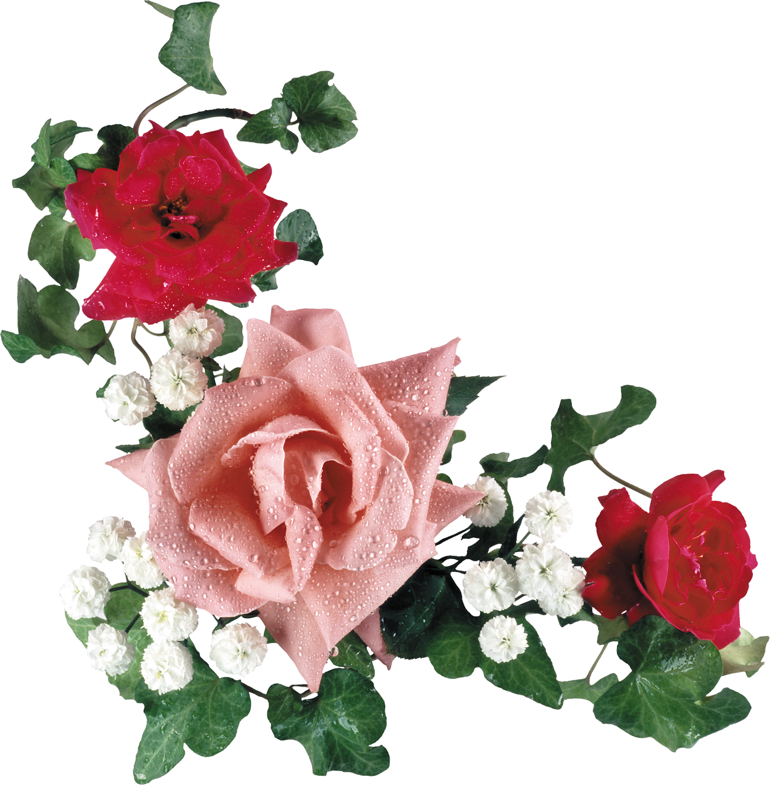 Png形式でダウンロード - Клипарт Цветы Розы (1500x1529)