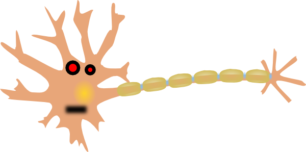 Neuron Clipart (600x298)