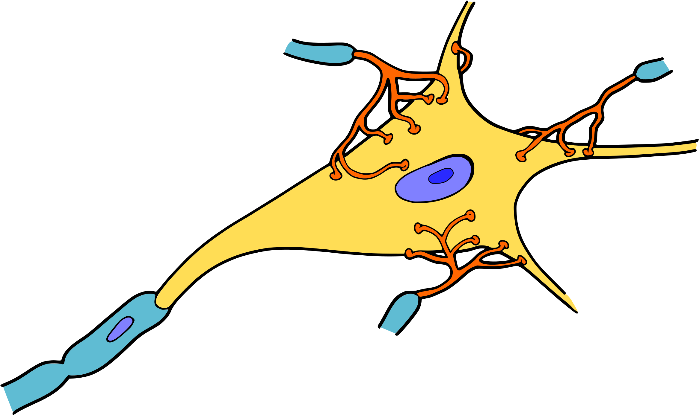 Big Image - Neurona Dibujo Animado (2400x1494)