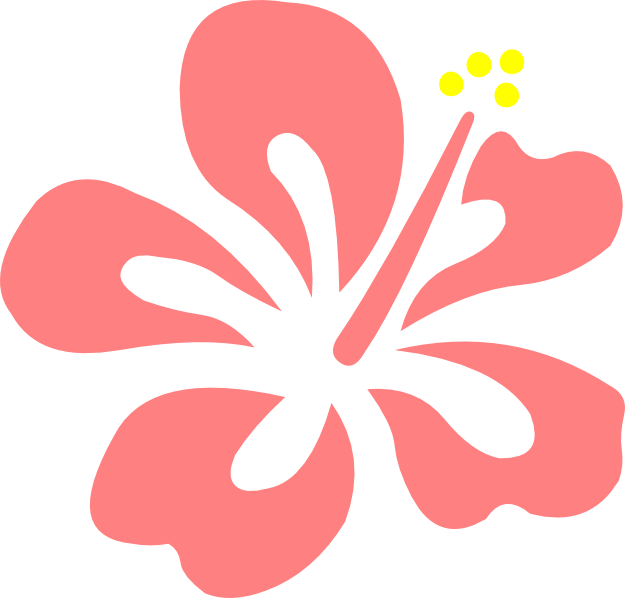 Hibiscus Svg - Hibiscus Logo (625x598)