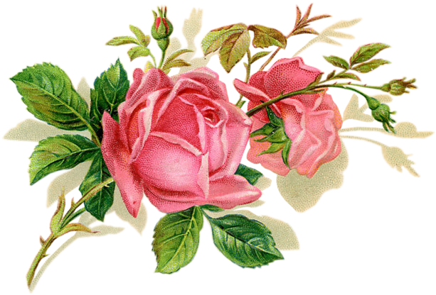 Оптимизация Png И Jpeg Без Потери Качества - Free Printable Stationery Templates For Word (800x559)