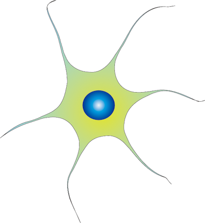 Neuron Togopic - Neuron Png (400x436)