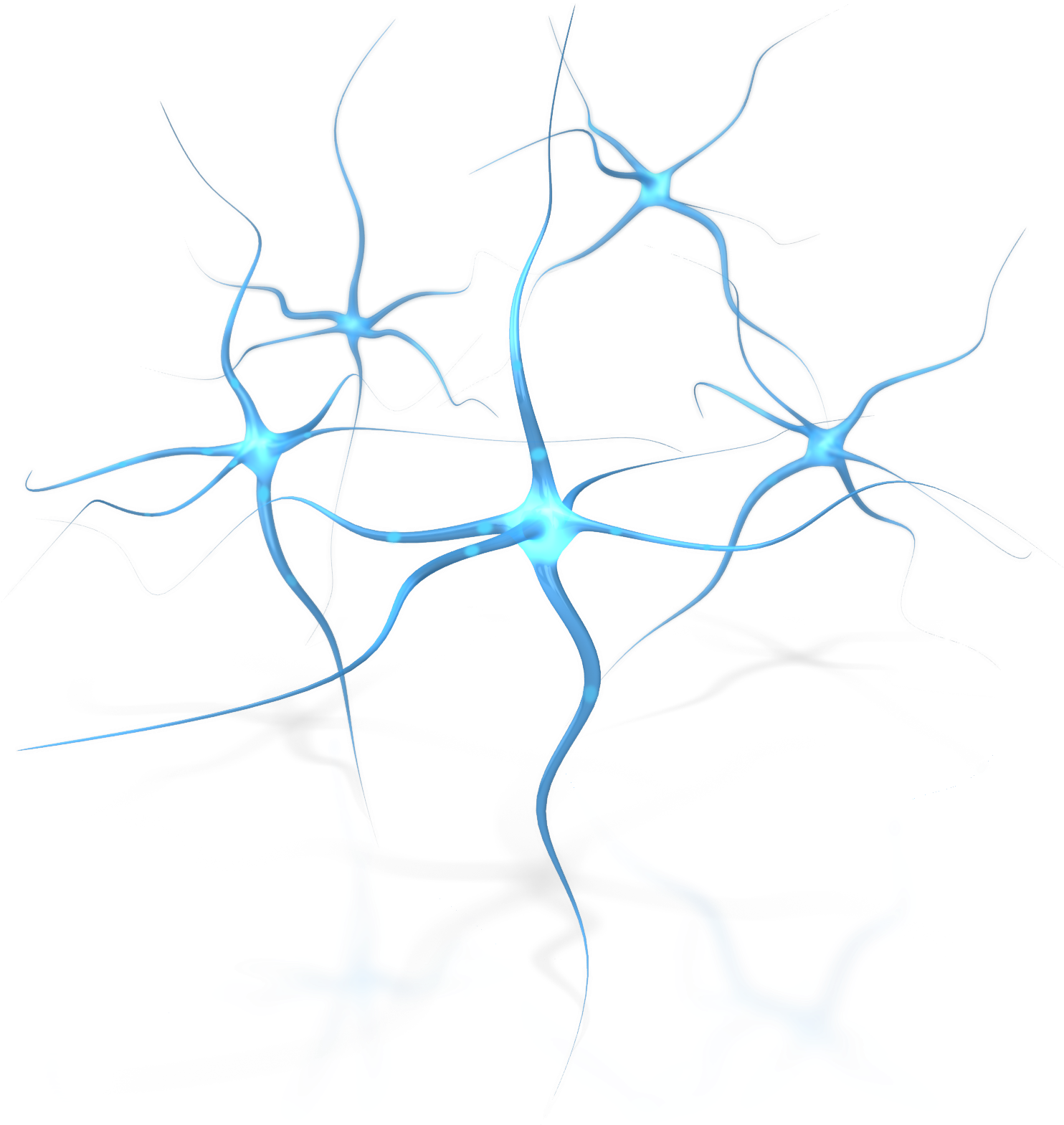 Neuron Human Brain Neuropsychology Clip Art - Neuron Human Brain Neuropsychology Clip Art (1600x1600)