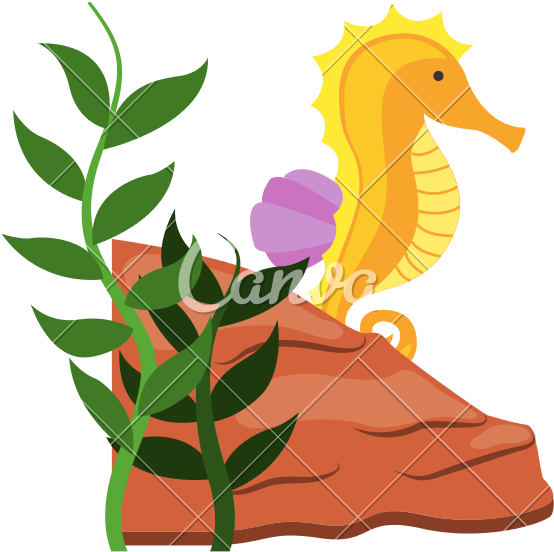 Cute Seahorse Isolated Icon - Algas Icon (800x800)