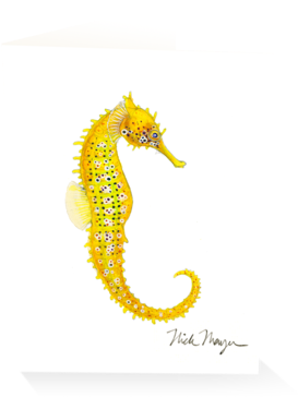 Pacific Seahorse Iii - Pacific Seahorse (480x387)