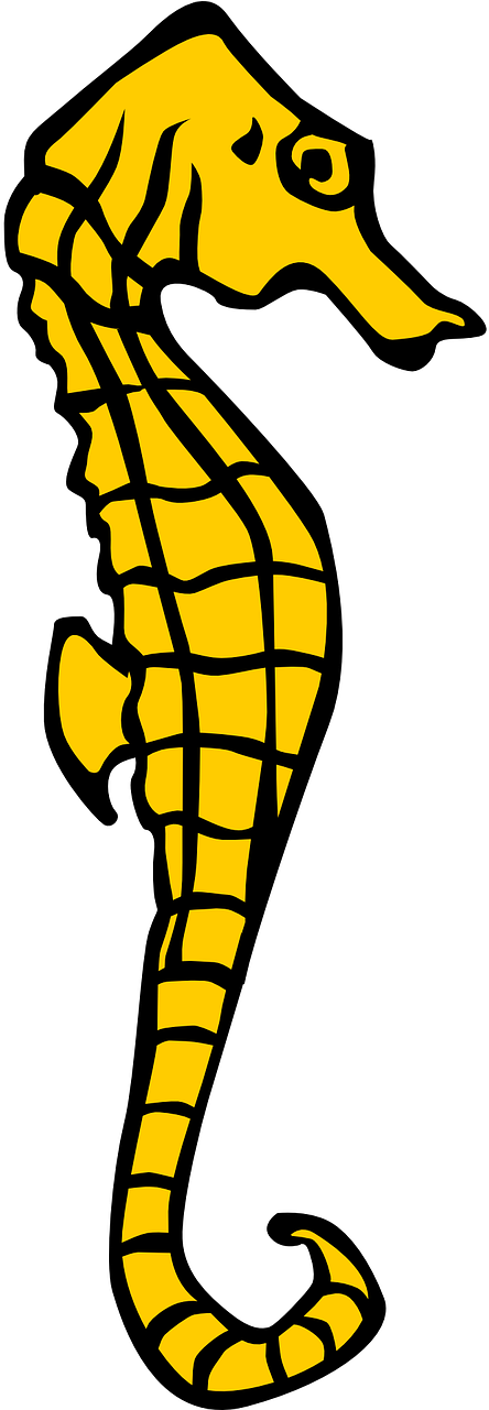 Seahorse Yellow Heraldry Ocean Png Image - Seahorse Clipart (640x1280)