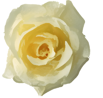Png形式でダウンロード - Белая Роза Пнг (361x345)