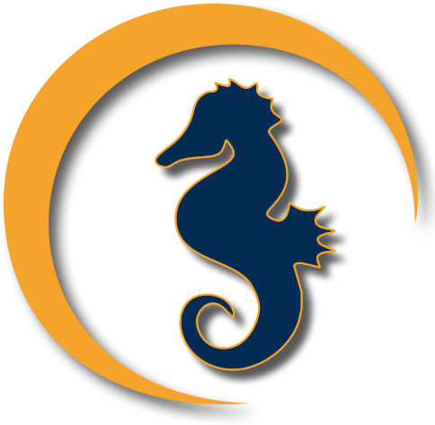 Northern Seahorse (500x500)