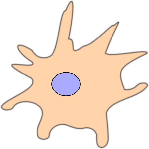 Dendritic Cell Clip Art (600x600)