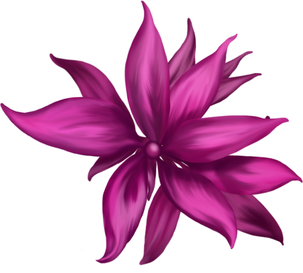 Pink Flower Graphic - Bromelia (600x540)
