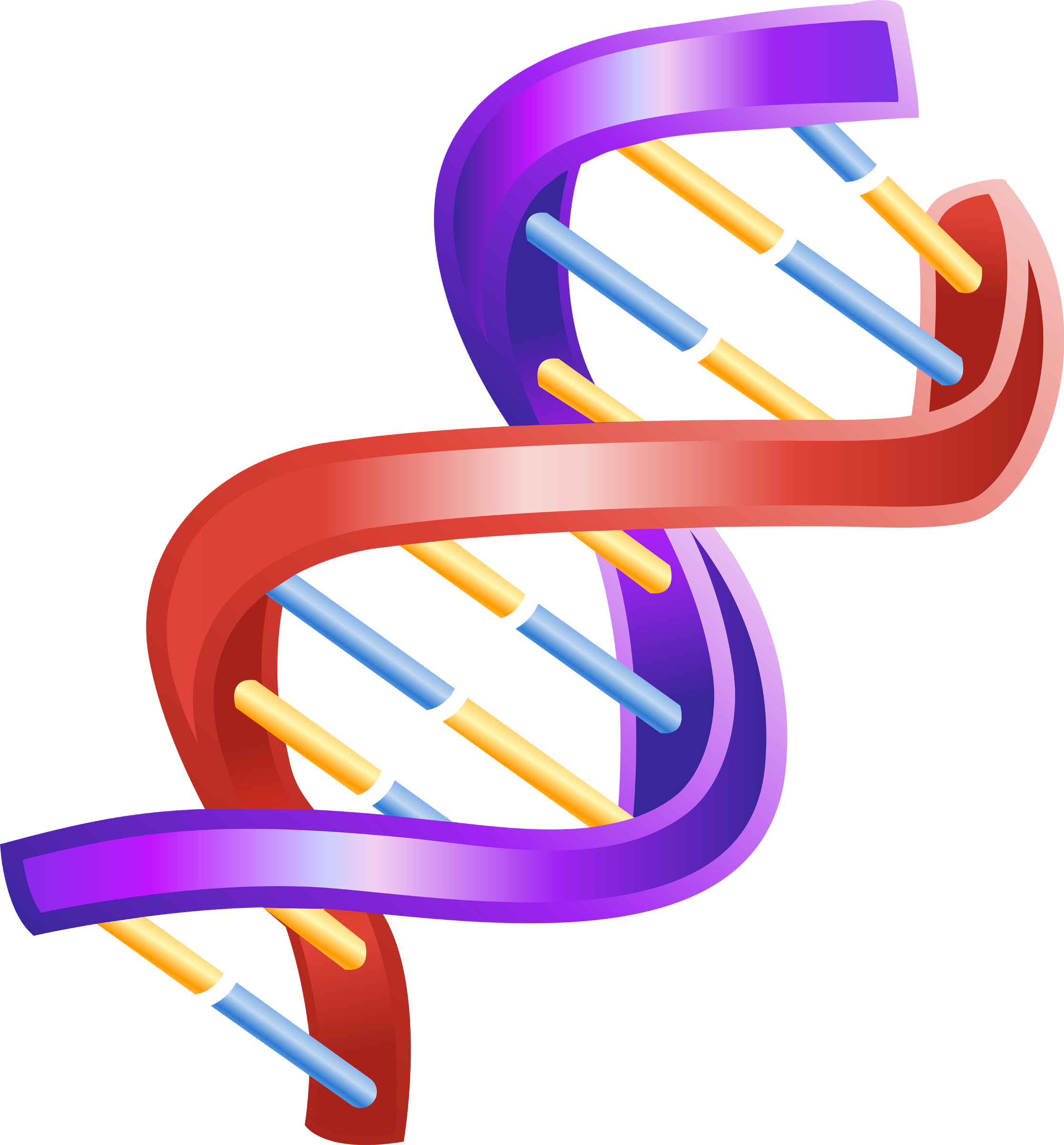 Nucleic Acid Double Helix The Double Helix - Nucleic Acid Double Helix The Double Helix (2231x2400)