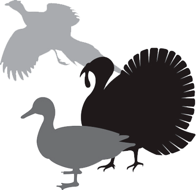 Although Our Packaging Expresses Wild Game More Than - Calligraphy (400x388)