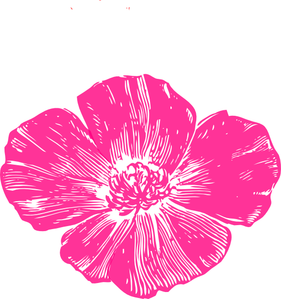 Pink Poppy Flower Clip Art (564x599)