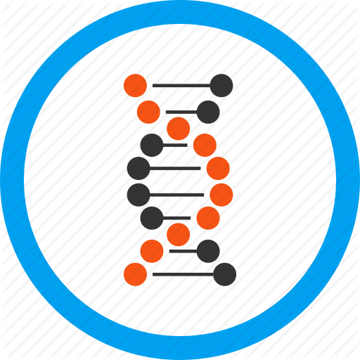 Dna Structure Clipart All About Science - Dna (512x512)