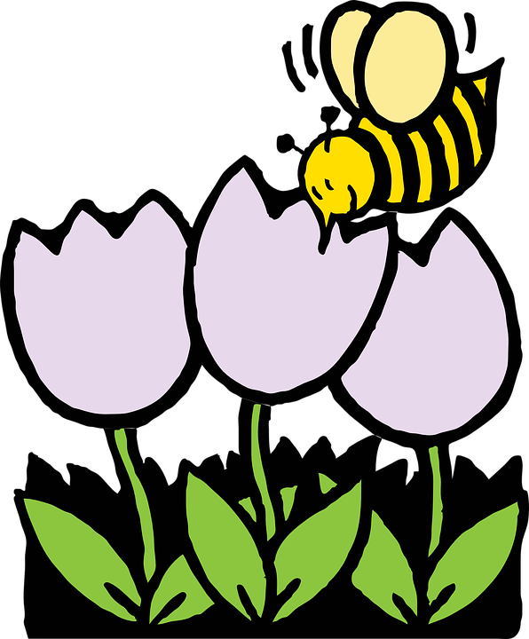Lebah, Lebah Madu, Bunga Bunga, Putih, Tanaman - Coloring Pages Of Flowers (596x720)