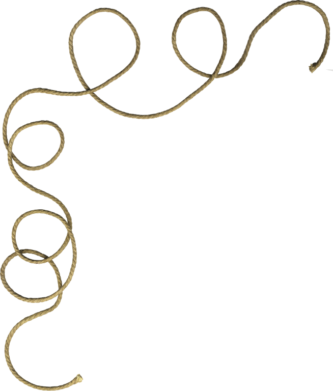 Rope Transparency And Translucency Twine Clip Art - Curly Rope Png (654x768)