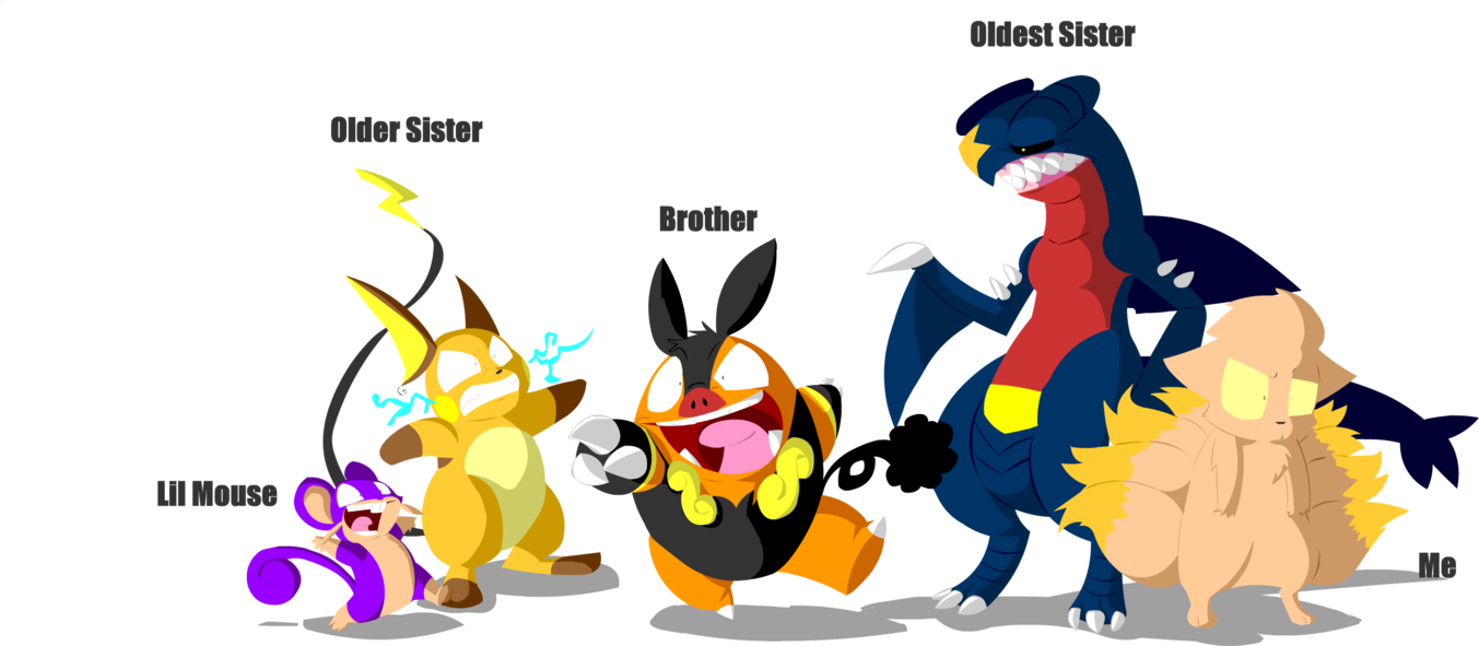 Pokemon Version By Masabear - Pokemon Brendan Minecraft Skin (1353x591)