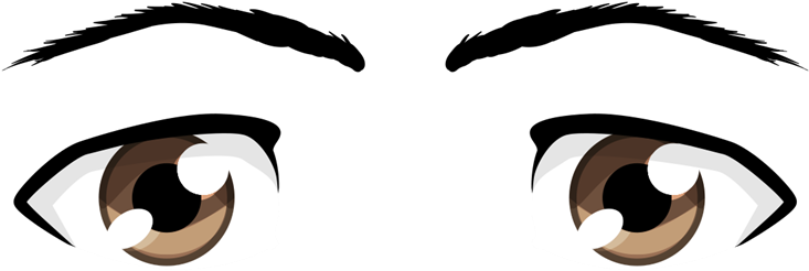 Eye Color Character Structure Homo Sapiens Eyebrow - Eye Color Character Structure Homo Sapiens Eyebrow (800x533)