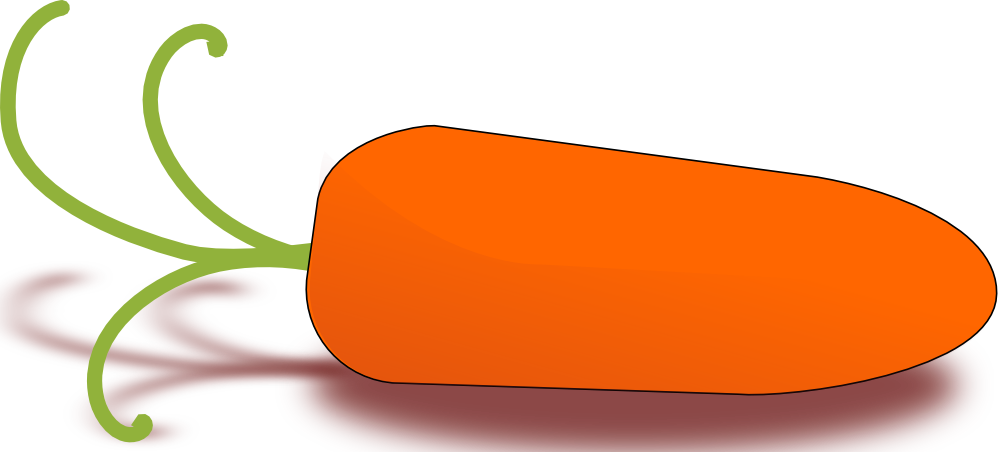 Little Carrot - Vegetable Clip Art (1000x452)
