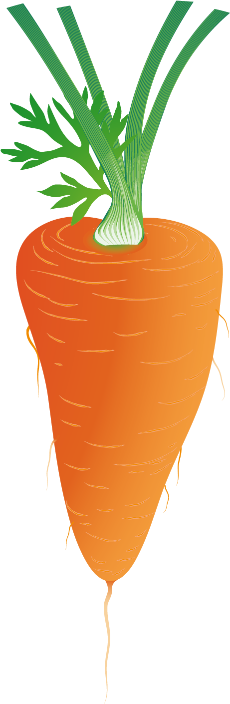 Carrot Euclidean Vector Download Clip Art - Carrot Euclidean Vector Download Clip Art (2126x2126)
