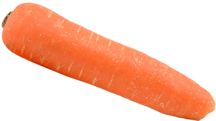 Carrot - Kindersay - Transparent Carrot (445x355)
