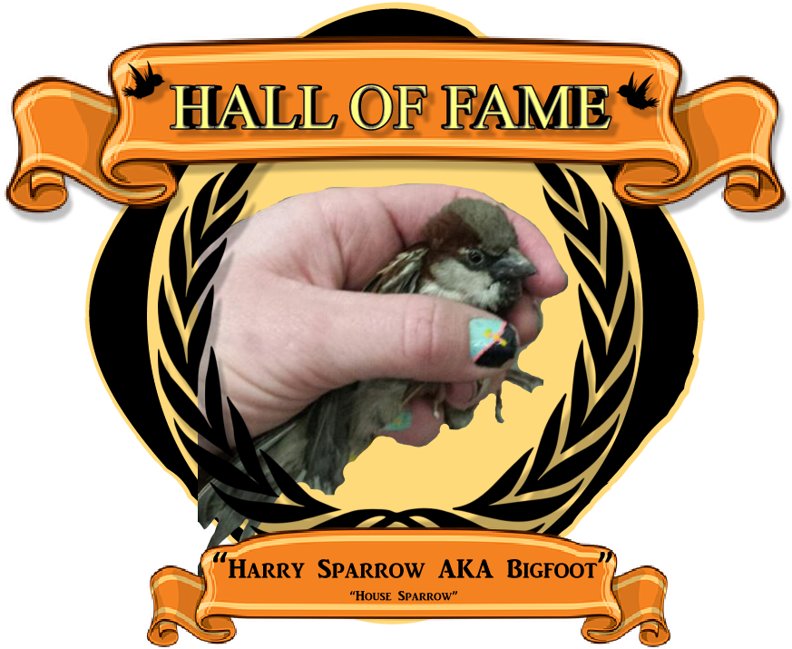 Harry The Mythical Sparrow Aka "bigfoot" - United Nations Framework Convention On Climate Change (985x734)