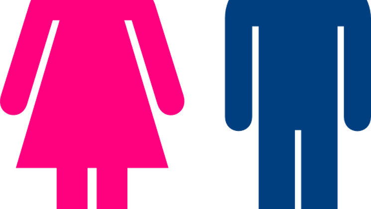 Clip Art - Toilet Sign Left Arrow (745x420)