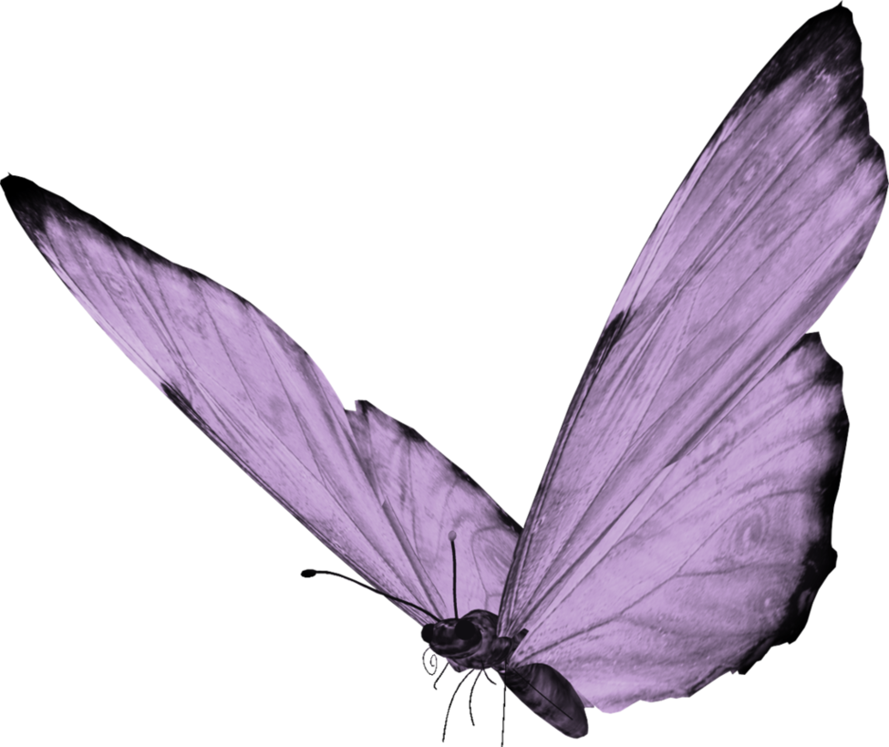 Butterfly Png By Yotoots - Butterfly Png (975x819)